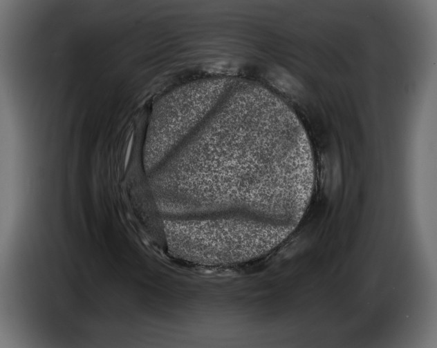 X0000083601154200703021905