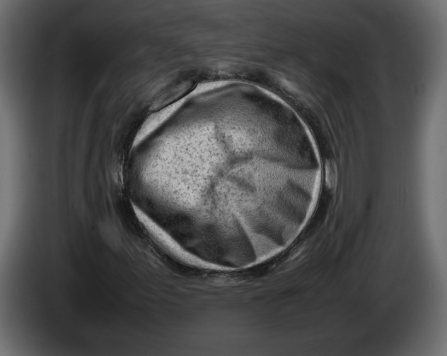 X0000083601155200703021905