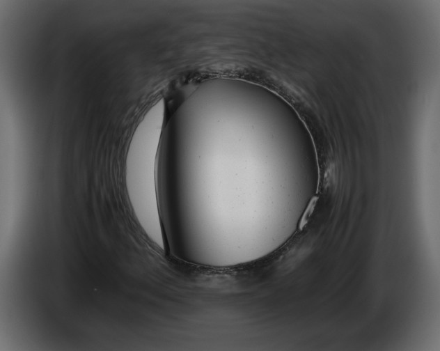 X0000083601156200703021905