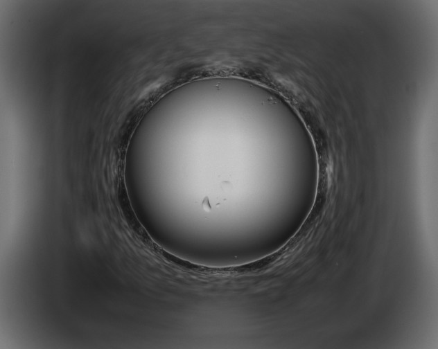 X0000083601157200703021905