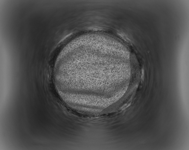 X0000083601158200703021905