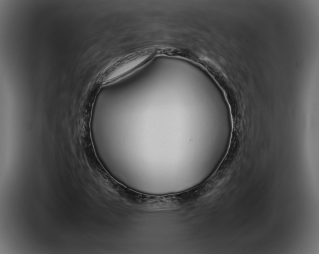 X0000083601159200703021905