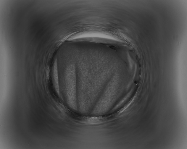 X0000083601161200703021905