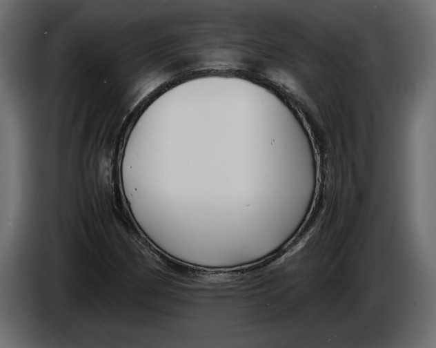 X0000083601162200703021905