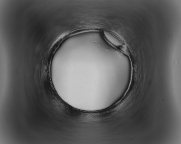 X0000083601163200703021905