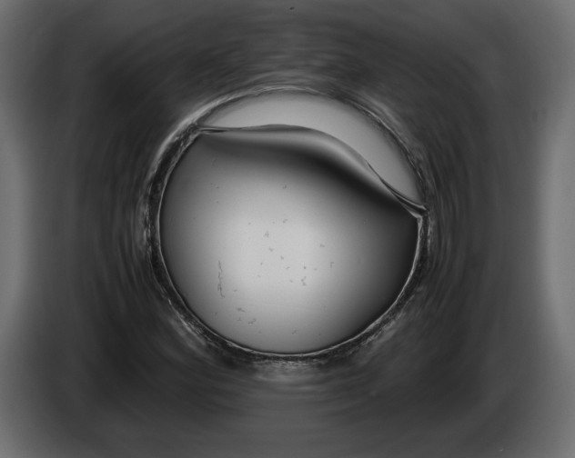 X0000083601164200703021905