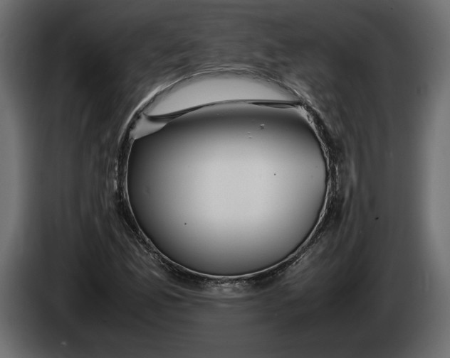 X0000083601165200703021905