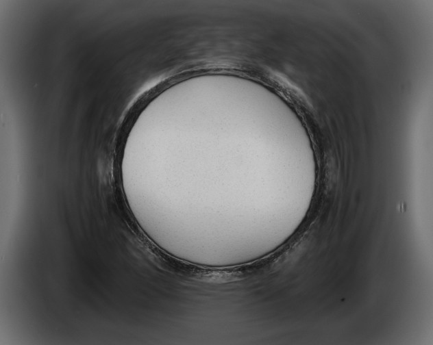 X0000083601166200703021905