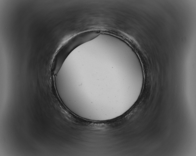 X0000083601168200703021905