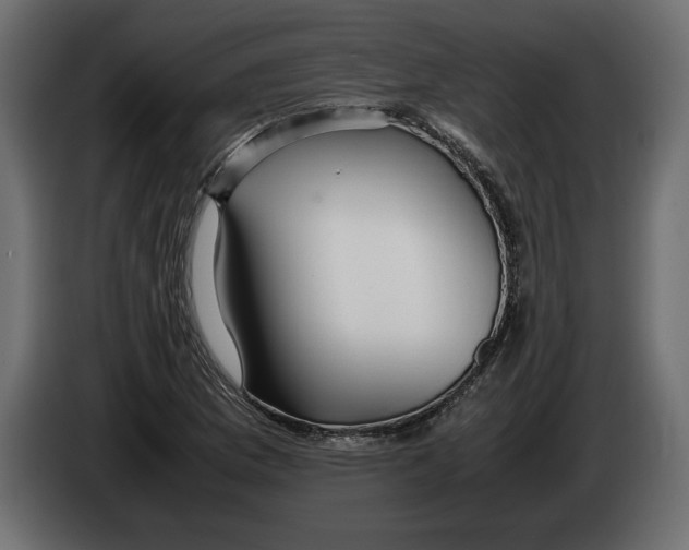 X0000083601169200703021905