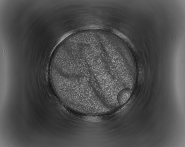 X0000083601170200703021905