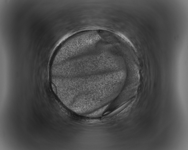 X0000083601173200703021905