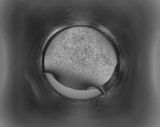 X0000083601174200703021905