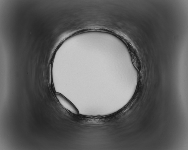 X0000083601175200703021905