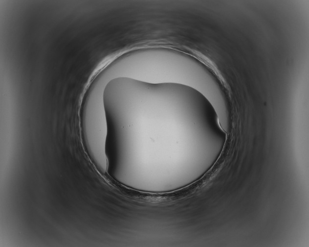 X0000083601176200703021905