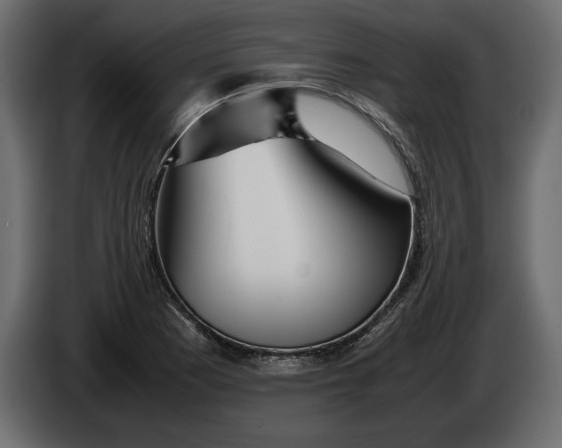 X0000083601177200703021905