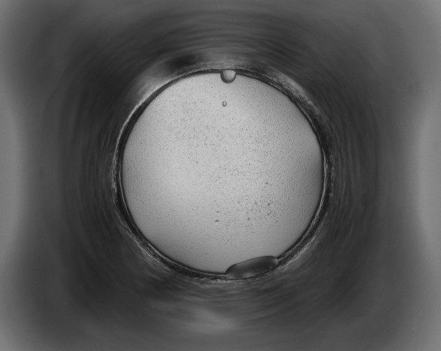 X0000083601178200703021905