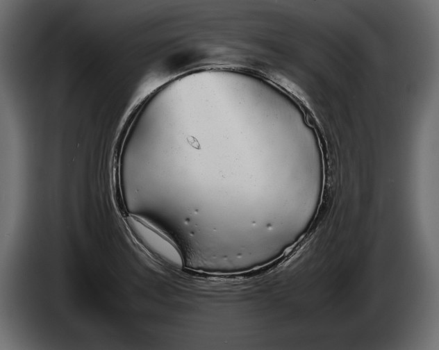 X0000083601179200703021904