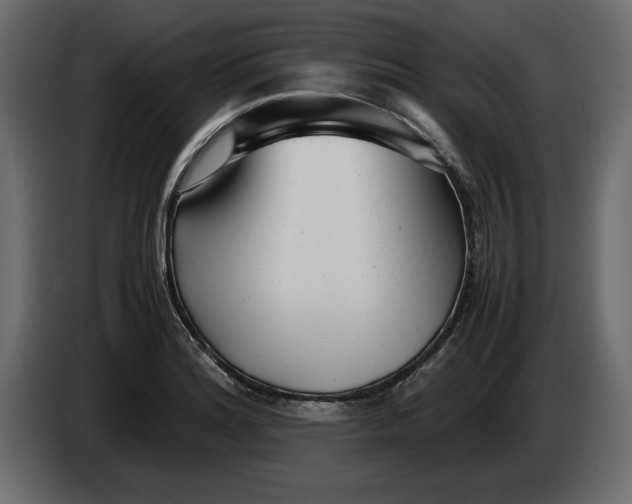 X0000083601180200703021904