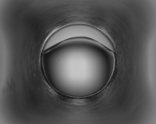 X0000083601181200703021904