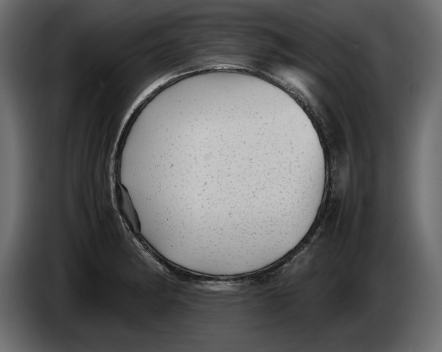 X0000083601182200703021904