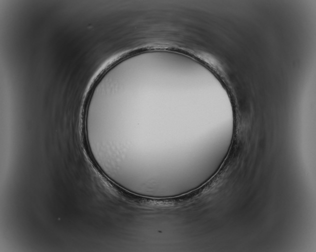 X0000083601183200703021904