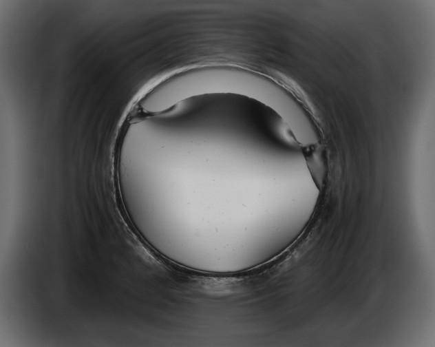 X0000083601184200703021904