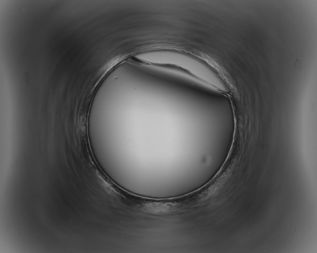 X0000083601185200703021904