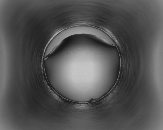 X0000083601186200703021904