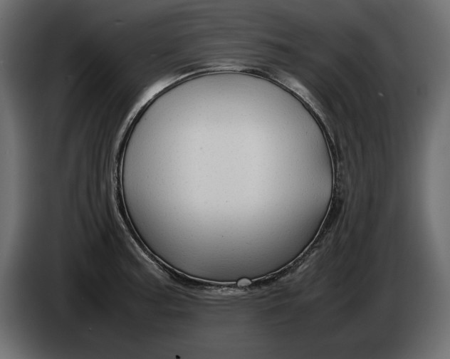 X0000083601187200703021904