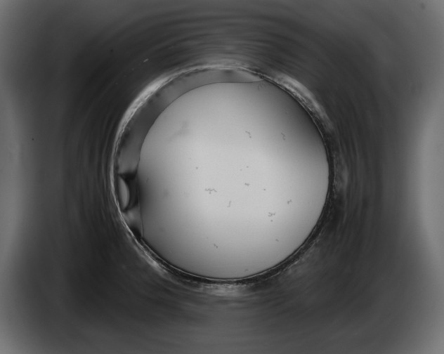 X0000083601188200703021904