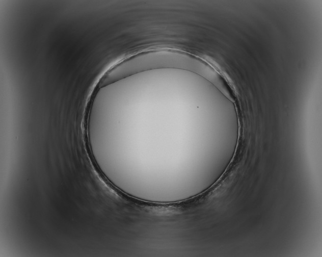 X0000083601189200703021904