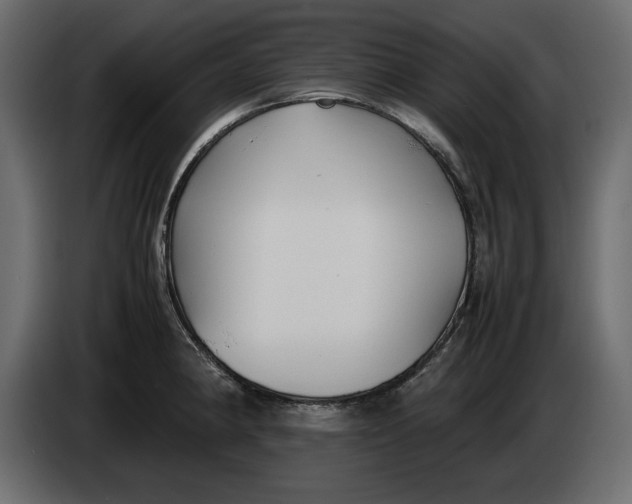 X0000083601190200703021904