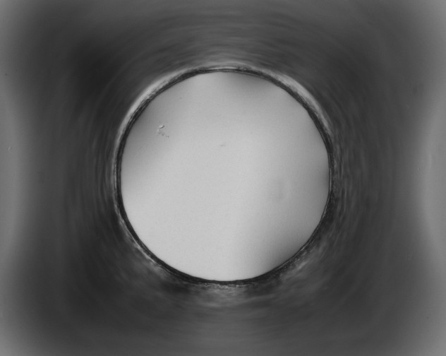 X0000083601191200703021904