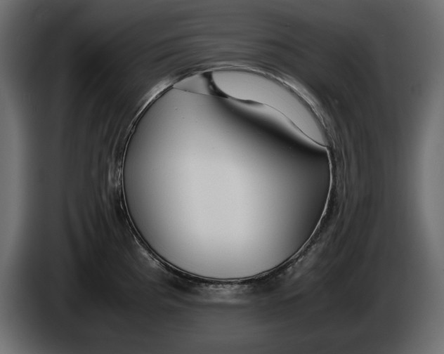 X0000083601193200703021904