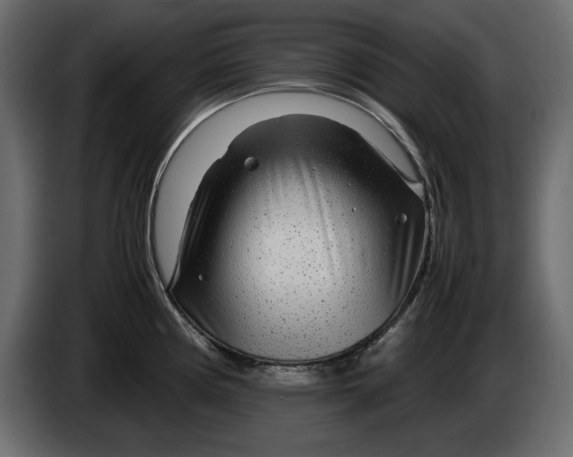 X0000083601194200703021904