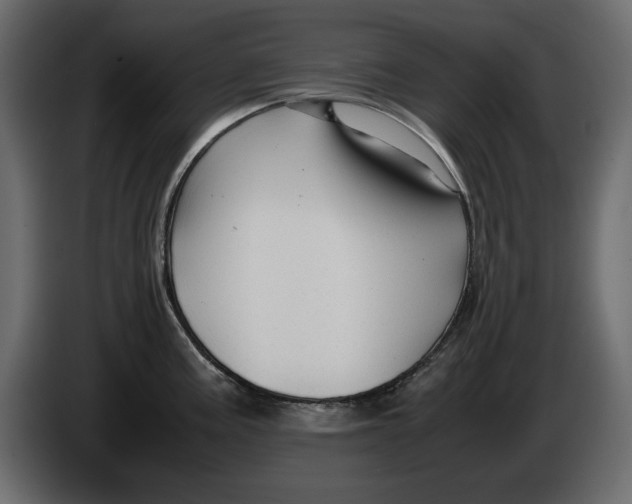 X0000083601195200703021904