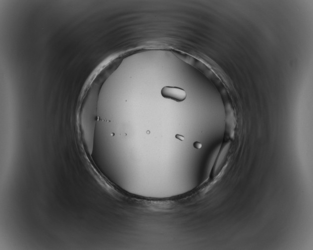 X0000083601196200703021904