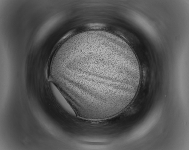 X0000083601198200703021904