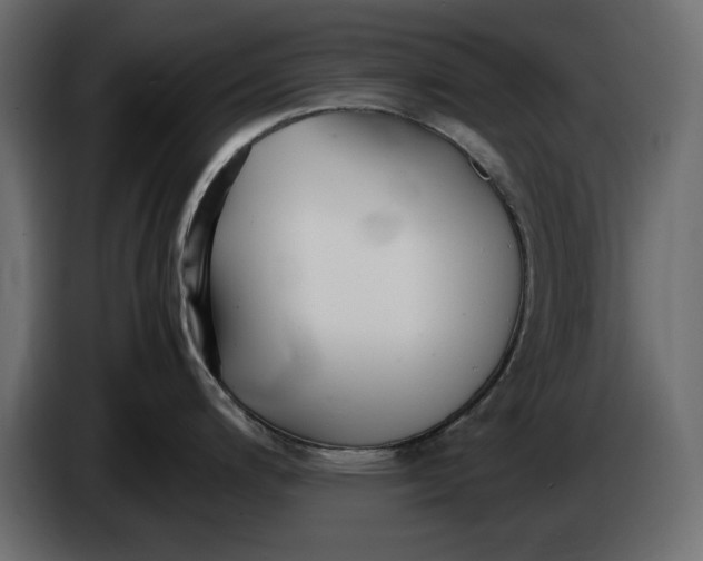 X0000083601200200703021904