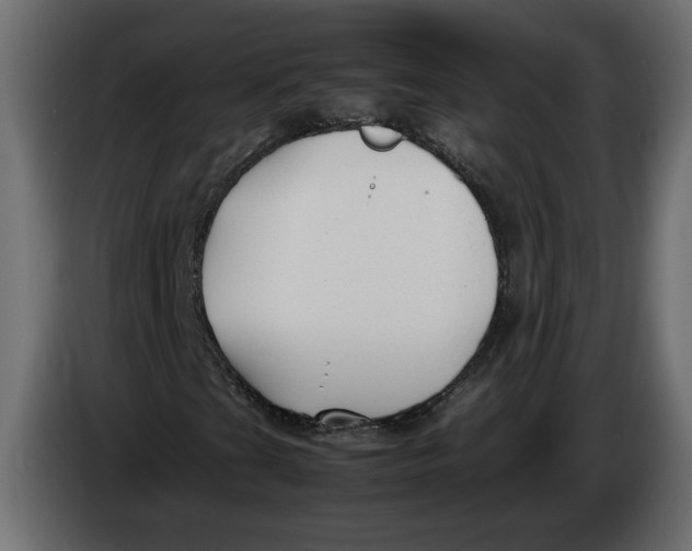 X0000083601201200703021903