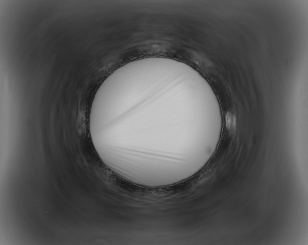 X0000083601203200703021903