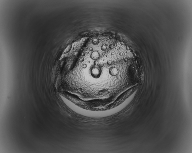 X0000083601204200703021903