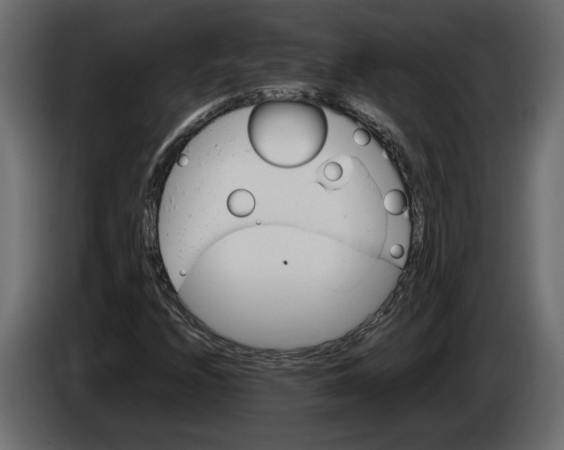 X0000083601208200703021903