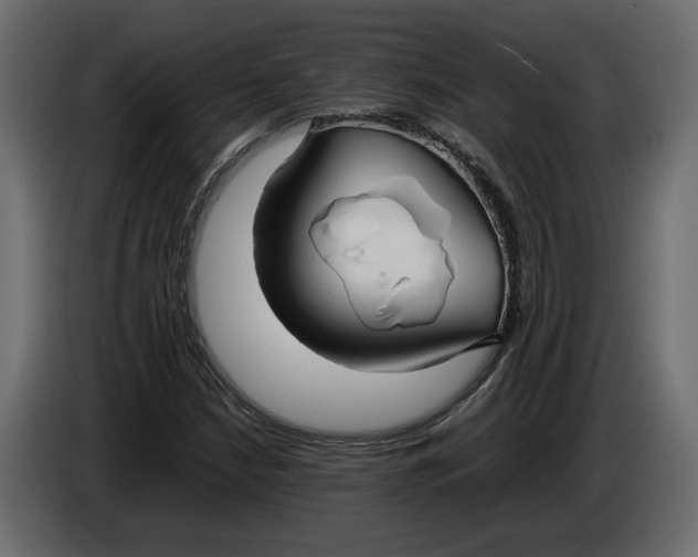 X0000083601210200703021903