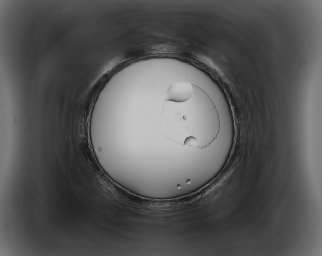 X0000083601211200703021903