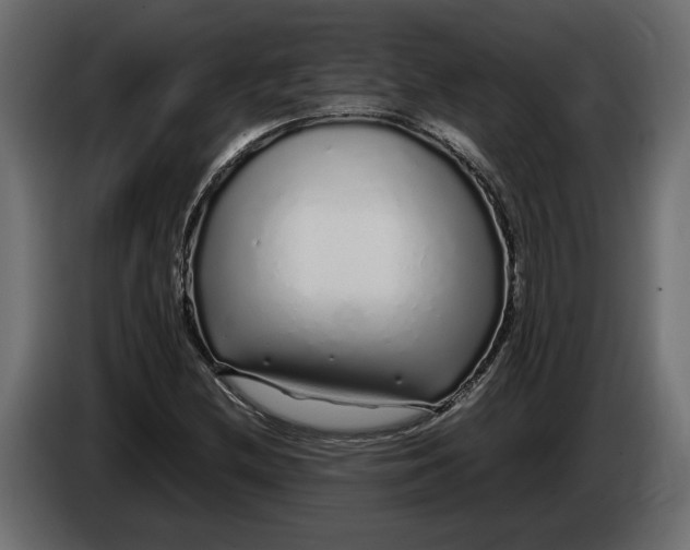 X0000083601212200703021903