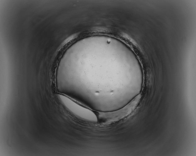 X0000083601213200703021903