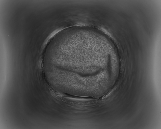 X0000083601215200703021903