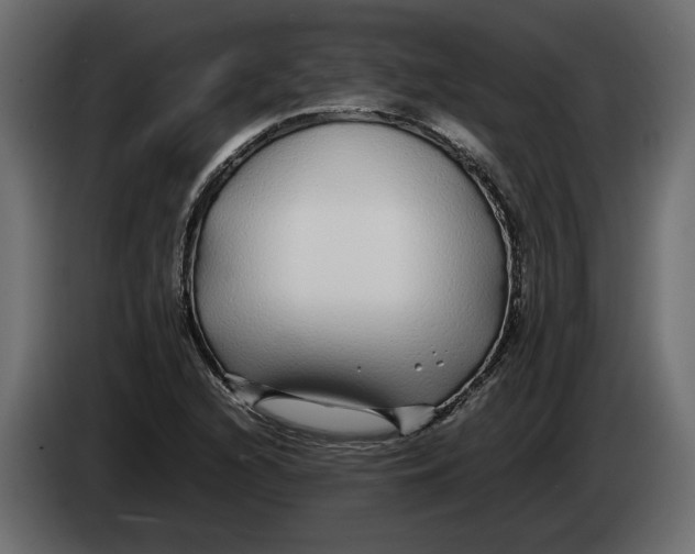 X0000083601216200703021904